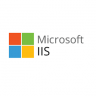 Manage (Remotely) IIS on Windows Server 2019 Server Core - The Tech Journal